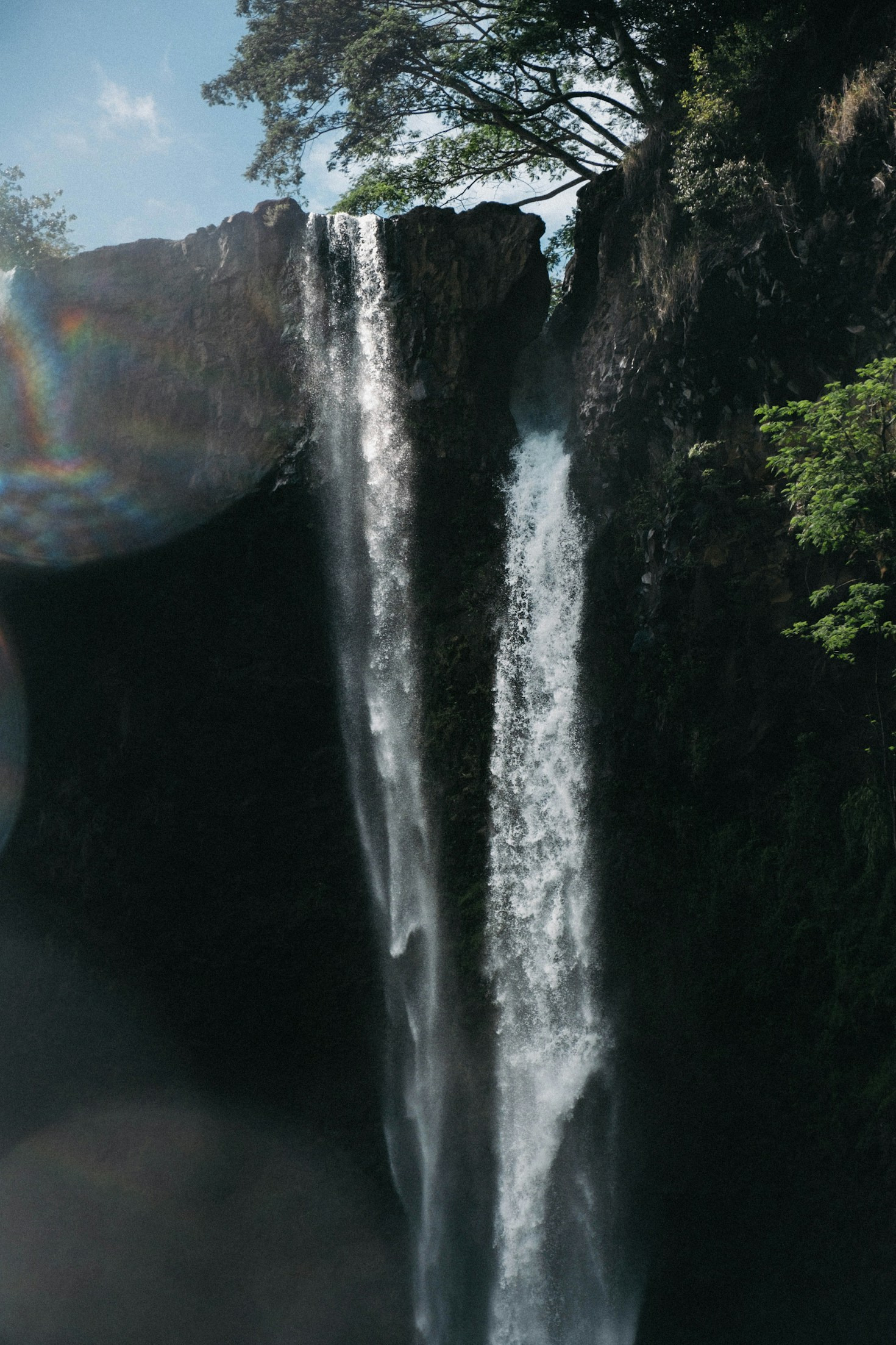 Explorando lo salvaje: aventuras detrás del lente
